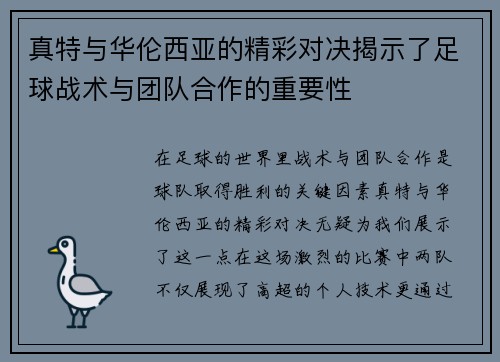 真特与华伦西亚的精彩对决揭示了足球战术与团队合作的重要性