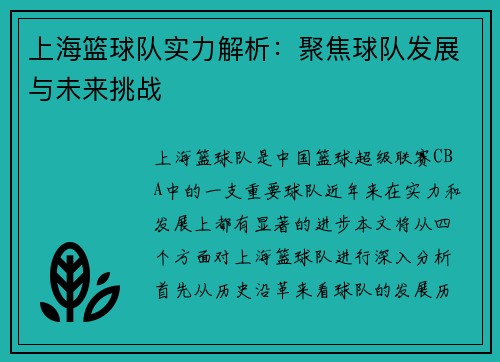 上海篮球队实力解析：聚焦球队发展与未来挑战