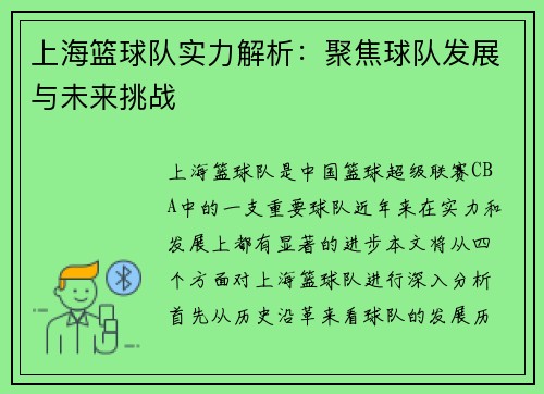 上海篮球队实力解析：聚焦球队发展与未来挑战