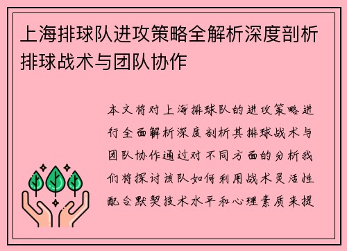 上海排球队进攻策略全解析深度剖析排球战术与团队协作